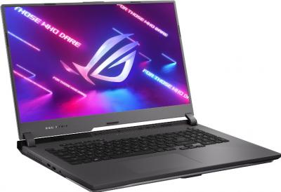 ASUS ROG Strix G17 G713QM Eclipse Gray